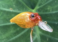 Image 3 of  Custom Airbrushed Crankbait 198