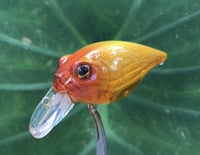 Image 1 of  Custom Airbrushed Crankbait 198