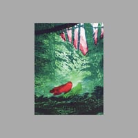 Image 4 of [LIBROS WALDEN™] LO QUE LES ESPERA (LIAM COBB™)