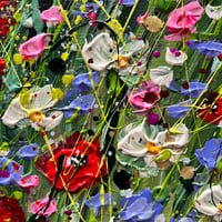 Image 7 of Wild October 