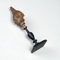 Image 8 of Coquillage escargot Pugilina sur socle en bois tourné fin XIXe -  Cabinet de curiosités