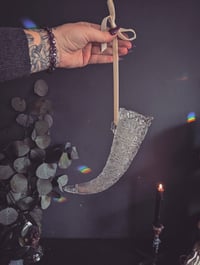 Image 3 of Crystal horn 