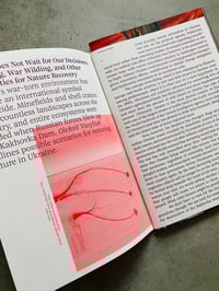 Image 5 of SOLOMIYA no. 4 The Environmental Issue