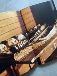 Image 4 of SOLOMIYA no. 4 The Environmental Issue