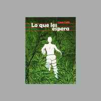 Image 1 of [LIBROS WALDEN™] LO QUE LES ESPERA (LIAM COBB™)