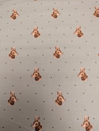 Image 1 of Lapin bleu