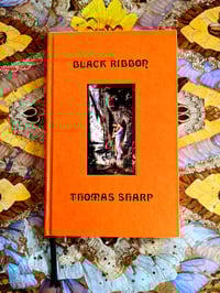 Image 5 of Correspondences: Black ribbon Book +  Art Print Bundle