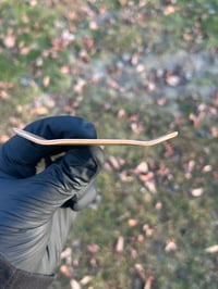 Image 3 of N57 34MM TWO TONE