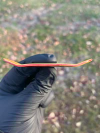 Image 2 of N57 34MM RED FADE TO YELLO