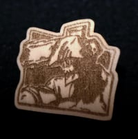 Image 1 of pins