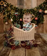 Image 6 of Winter sled 