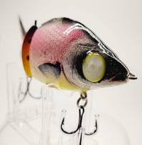 Image 2 of GWP Glider - (PinkTreuse)