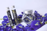 Image 2 of Butterfly Pea