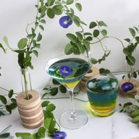 Image 3 of Butterfly Pea