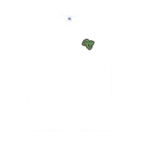 Image 2 of Spaz Fall