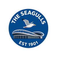 Image 1 of Brighton Albion Fan T-Shirt | The Seagulls Football Tee | Gift for Brighton Albion Supporters