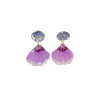 dianthus x forget me not 