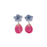 forget me not x rose petal  