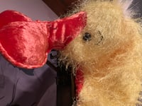 Image 5 of Child’s Duck Costume