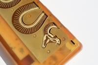 Image 4 of [GB] Snake60 - Fossil Edition