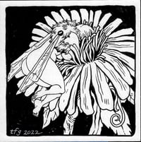 Image 2 of Digital- Inks