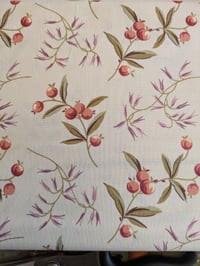 Image 2 of Coralberry 