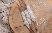 Image 1 of Coffe velvet 