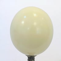 Image 7 of Lampe oeuf d'autruche sur socle en métal argenté Napoléon III Cabinet de curiosités