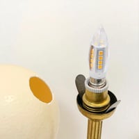 Image 10 of Lampe oeuf d'autruche sur pied en en laiton Empire - Pièce unique 