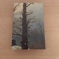 Image 1 of Altar Of Moss & Avagddu - Coedwig Rhewedig