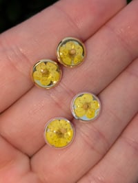 Image 7 of Blooming Faith Studs