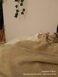 Image 5 of Philomena Cunk Tip Jar