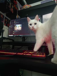 Image 2 of Philomena Cunk Tip Jar