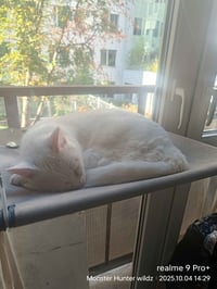 Image 6 of Philomena Cunk Tip Jar