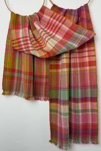 Image 1 of Gwyl Drest (Festive Disguise)