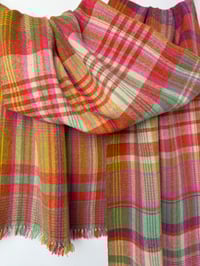 Image 5 of Gwyl Drest (Festive Disguise)