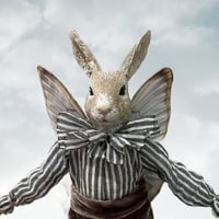 Image 2 of Flying Rabbit