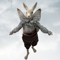 Image 1 of Flying Rabbit
