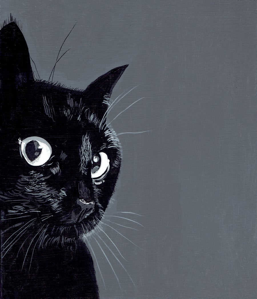 Image of A CAT IN SALZBURG