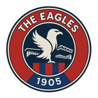Image 1 of Crystal Palace Fan T-Shirt | The Eagles Football Tee | Gift for Crystal Palace Supporters