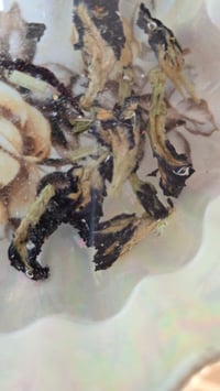 Image 8 of Magic Brew - tea cup dice roller/trinket tray