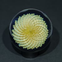 Image 1 of Fume Reticello Petal Bloom