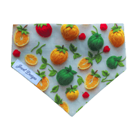 Dog Bandana - Fruity