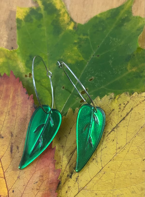 Image of Green leaves 
