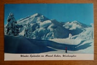 Winter Splendor Glittery Vintage Postcard