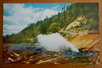 Log Pond Glittery Vintage Postcard