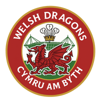 Image 1 of Welsh Rugby Fan T-Shirt | Welsh Rugby Tee | Gift for Welsh Rugby Supporters