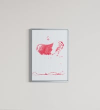 Image 4 of OBJECT - Cover Picture