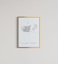 Image 2 of OBJECT - Cover Picture