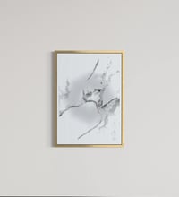 Image 2 of OBJECT - 2